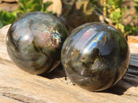 Polished  Small Flashy Labradorite Spheres  x 6 From Tulear, Madagascar