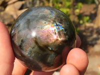 Polished  Small Flashy Labradorite Spheres  x 6 From Tulear, Madagascar