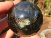 Polished  Small Flashy Labradorite Spheres  x 6 From Tulear, Madagascar