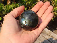 Polished  Small Flashy Labradorite Spheres  x 6 From Tulear, Madagascar