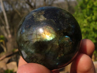 Polished  Small Flashy Labradorite Spheres  x 6 From Tulear, Madagascar