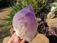 Polished  Smokey Amethyst Window Quartz Crystals One In A Sceptre x 2 From Madagascar - TopRock