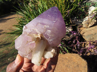 Polished  Smokey Amethyst Window Quartz Crystals One In A Sceptre x 2 From Madagascar - TopRock