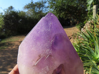 Polished  Smokey Amethyst Window Quartz Crystals One In A Sceptre x 2 From Madagascar - TopRock