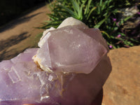 Polished  Smokey Amethyst Window Quartz Crystals One In A Sceptre x 2 From Madagascar - TopRock