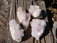 Natural White Cactus Flower Spirit Quartz Specimens x 4 From Boekenhouthoek, South Africa