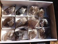 Natural Single Smokey Quartz Crystals  x 13 From Mulanje, Malawi - Toprock Gemstones and Minerals 