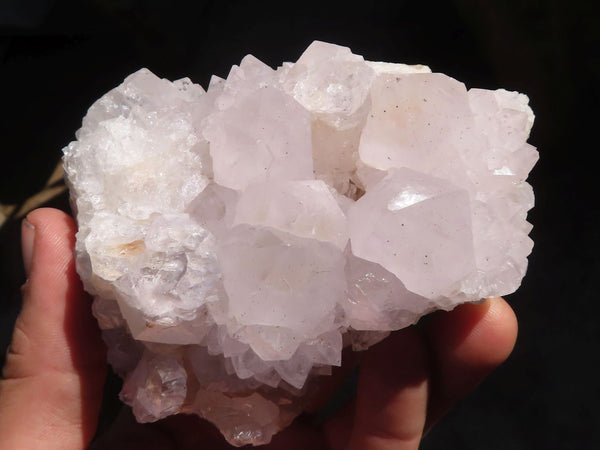 Natural White Cactus Flower Spirit Quartz Specimens x 4 From Boekenhouthoek, South Africa