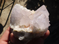 Natural White Cactus Flower Spirit Quartz Specimens x 4 From Boekenhouthoek, South Africa