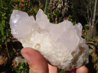 Natural White Cactus Flower Spirit Quartz Specimens x 4 From Boekenhouthoek, South Africa