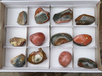 Polished Polychrome Jasper Nodules x 12 From Mahajunga, Madagascar - TopRock