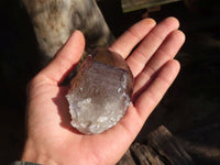 Natural Single Smokey Quartz Crystals  x 13 From Mulanje, Malawi - Toprock Gemstones and Minerals 