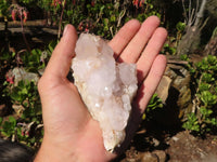 Natural White Cactus Flower Spirit Quartz Specimens x 4 From Boekenhouthoek, South Africa