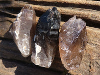 Natural Single Smokey Quartz Crystals  x 13 From Mulanje, Malawi - Toprock Gemstones and Minerals 