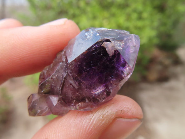 Natural Amethyst Crystals  x 35 From Chiredzi, Zimbabwe