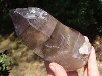 Polished Large Morion Smokey Quartz Crystals  x 3 From Malawi - TopRock