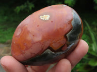 Polished Polychrome Jasper Nodules x 12 From Mahajunga, Madagascar - TopRock