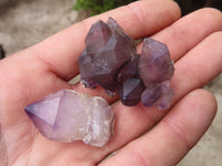 Natural Amethyst Crystals  x 35 From Chiredzi, Zimbabwe