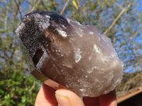 Natural Single Smokey Quartz Crystals  x 13 From Mulanje, Malawi - Toprock Gemstones and Minerals 