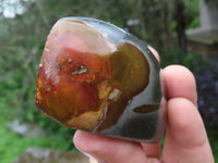 Polished Polychrome Jasper Nodules x 12 From Mahajunga, Madagascar - TopRock