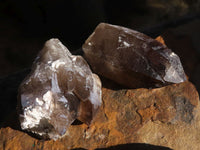 Natural Single Smokey Quartz Crystals  x 13 From Mulanje, Malawi - Toprock Gemstones and Minerals 