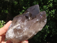 Polished Large Morion Smokey Quartz Crystals  x 3 From Malawi - TopRock