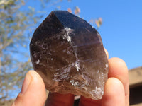 Natural Single Smokey Quartz Crystals  x 13 From Mulanje, Malawi - Toprock Gemstones and Minerals 