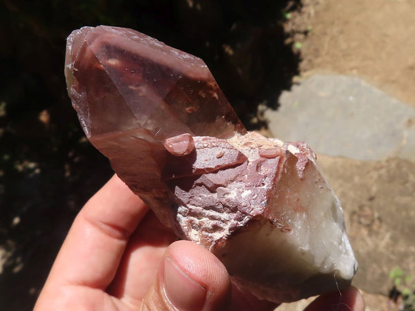 Natural Red Hematite Quartz Specimens  x 6 From Karoi, Zimbabwe - TopRock