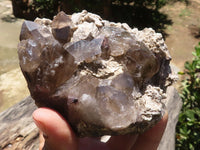 Polished Large Morion Smokey Quartz Crystals  x 3 From Malawi - TopRock