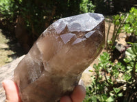 Polished Large Morion Smokey Quartz Crystals  x 3 From Malawi - TopRock