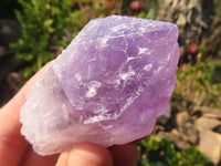 Natural Single Jacaranda Amethyst Crystals x 12 From Mumbwe, Zambia