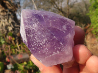 Natural Single Jacaranda Amethyst Crystals x 12 From Mumbwe, Zambia