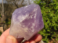 Natural Single Jacaranda Amethyst Crystals x 12 From Mumbwe, Zambia