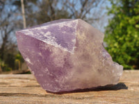 Natural Single Jacaranda Amethyst Crystals x 12 From Mumbwe, Zambia