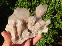 Natural Cascading White Phantom Quartz Clusters  x 3 From Luena, Congo - Toprock Gemstones and Minerals 