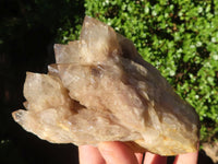 Natural Cascading White Phantom Quartz Clusters  x 3 From Luena, Congo - Toprock Gemstones and Minerals 