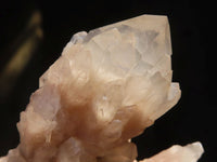 Natural Cascading White Phantom Quartz Clusters  x 3 From Luena, Congo - Toprock Gemstones and Minerals 