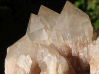 Natural Cascading White Phantom Quartz Clusters  x 3 From Luena, Congo - Toprock Gemstones and Minerals 