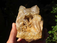 Natural Cascading White Phantom Quartz Clusters  x 3 From Luena, Congo - Toprock Gemstones and Minerals 