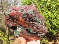 Natural Drusy Coated Ball Malachite On Dolomite Specimen  x 1 From Likasi, Congo