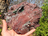 Natural Drusy Coated Ball Malachite On Dolomite Specimen  x 1 From Likasi, Congo