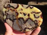 Polished Septerye Free Form Slices   x 6 From Mahajanga, Madagascar - Toprock Gemstones and Minerals 