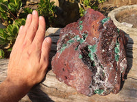 Natural Drusy Coated Ball Malachite On Dolomite Specimen  x 1 From Likasi, Congo