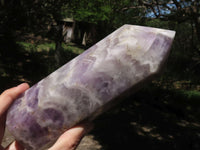 Polished Extra Large Dream Amethyst Point  x 1 From Madagascar - TopRock