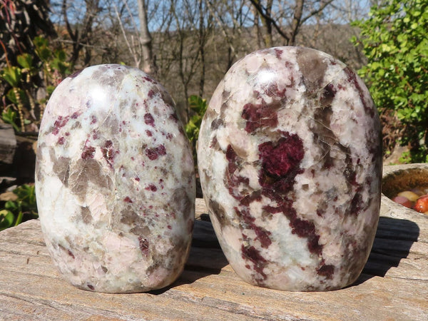 Polished Rubellite Pink Tourmaline Matrix Standing Free Forms x 2 From Madagascar