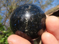 Polished Rare Sparkling Blue Iolite / Water Sapphire Spheres  x 12 From Madagascar - Toprock Gemstones and Minerals 