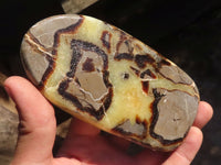 Polished Septerye Free Form Slices   x 6 From Mahajanga, Madagascar - Toprock Gemstones and Minerals 