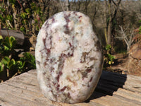 Polished Rubellite Pink Tourmaline Matrix Standing Free Forms x 2 From Madagascar