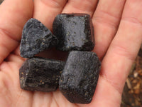 Natural Alluvial Schorl Black Tourmaline Crystals  x 64 From Zambia - TopRock