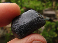 Natural Alluvial Schorl Black Tourmaline Crystals  x 64 From Zambia - TopRock